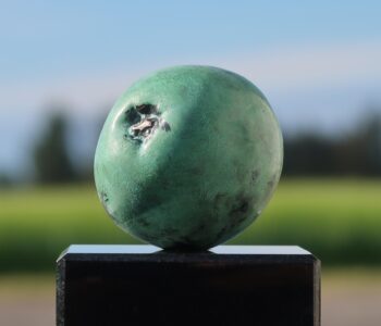 Anni Kristine konstnär - skulptur æble, Våga Se - Konst. Går att välja för alla med dubbelt medlemskap
