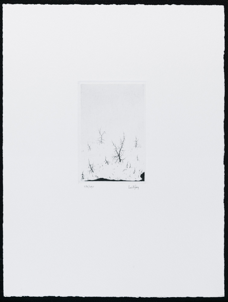 Konstnär Lars Nyberg. Konstverk benämning LANY2 ‘Utan titel 2’, torrnålsgravyr, pappersmått: 25,5x34 cm, bildmått: 9x10 cm, upplaga 295. Våga Se - Konst