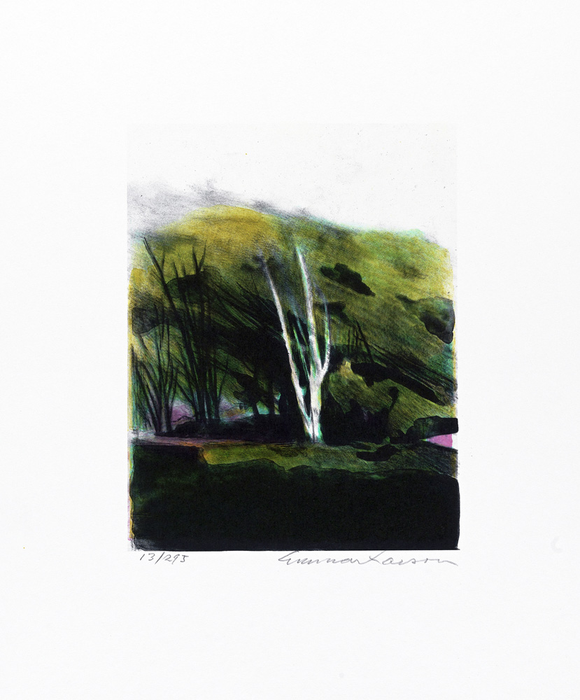 Konstnär Gunnar Larson. Konstverk benämning GL2 ‘Österlensvit 2’, litografi, pappersmått: 28x32,5 cm, bildmått: 16x19,5 cm, upplaga 295. Våga Se - Konst