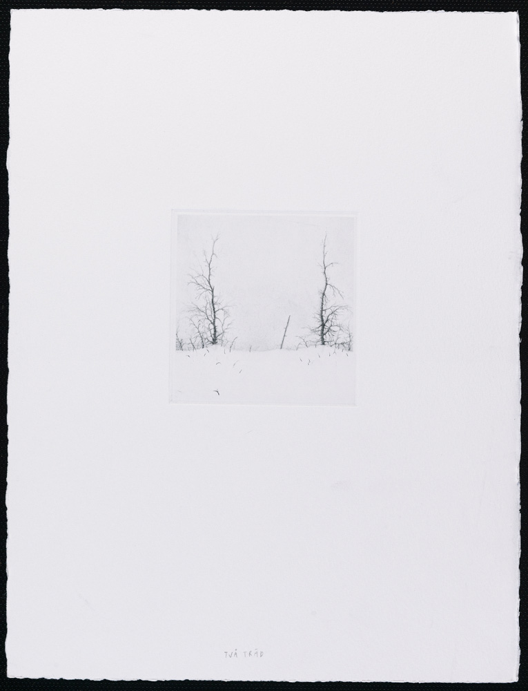 Konstnär Lars Nyberg. Konstverk benämning LANY1 ‘Utan titel 1’, torrnålsgravyr, pappersmått: 25,5x34 cm, bildmått: 9x10 cm, upplaga 295. Våga Se - Konst