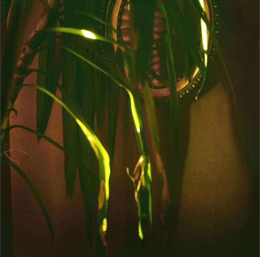 Mikaela Krestesen "Utan titel 2", fotografi, 30x30 cm, upplaga 295. Våga Se - Konst