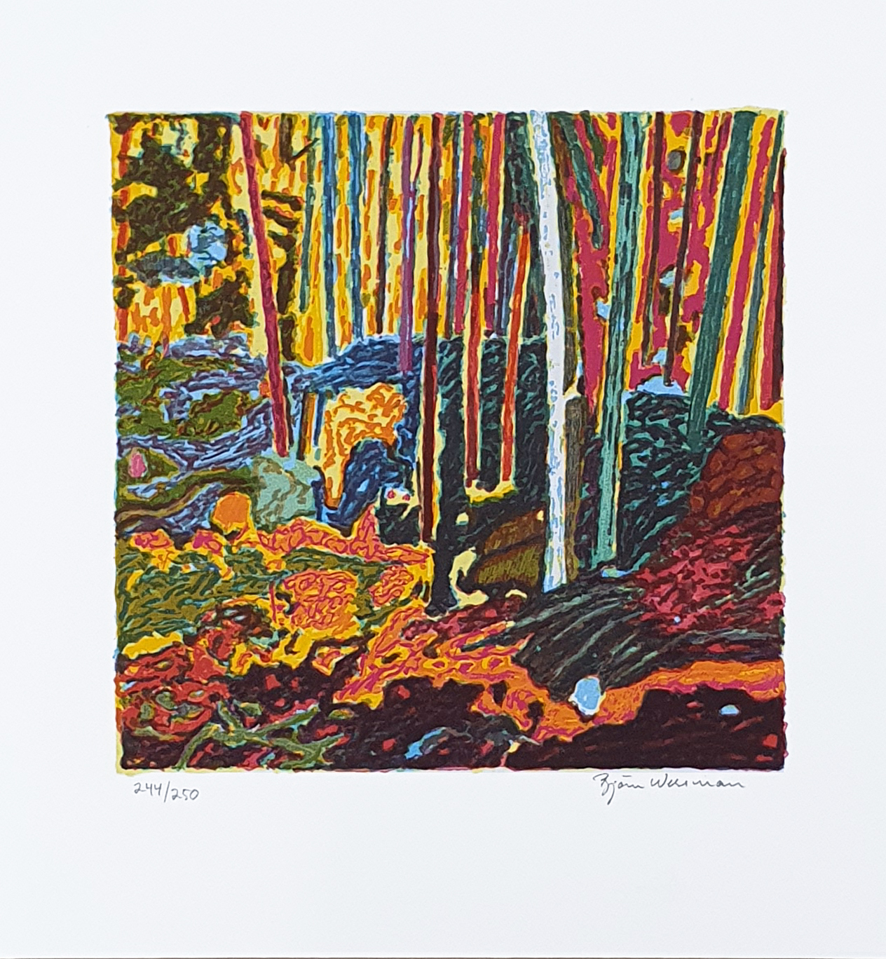 BW2 Rödtuva, serigrafi, 250 ex Bildmått: ca 22 x 22 cm, Pappersmått: 32 x 30 cm